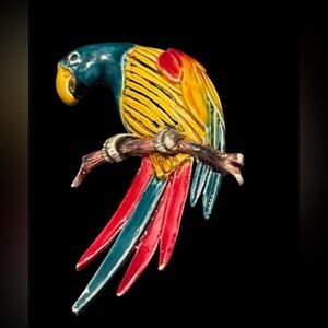 Colorful Parrot Pin Brooch ‘Just A Wild & Playful Guy’
